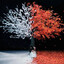 rainpainter