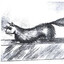 gef the mongoose