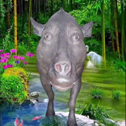 Zjar4ny_S3rg1ej_Bojk0 skins.army