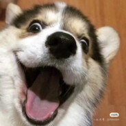 就特么你叫夏洛