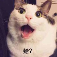 大猫！说多谢！