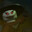 BumZ avatar