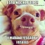 casti_7