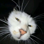 純真で鋭い丁一郎