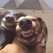 幼儿园第一突击手