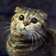 Семён avatar