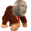 Stonkey Kong