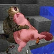 Куст твоей мечты