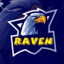 [WP] Raven