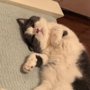 干饭大王历险记