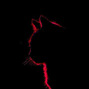 Avatar of ▴Molly