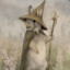PerekatPerekat