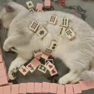 小甜姐姐kisskiss