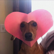 她说戴了不算给