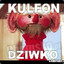 kulfon2 {PL}