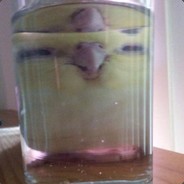 ☆⊙Kр☆KоDiлDa⊙