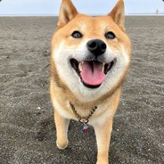 队友被抓边笑边刷