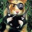 HamsterOnAcid