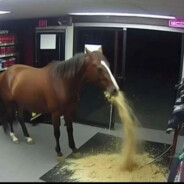 Тарас Вольво