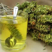 Genius - steam id 76561198045612374