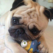 пуссидестроер10000