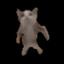 Ziut