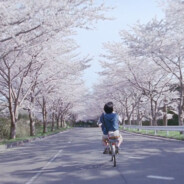 黎明杀机智障组去暑