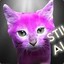 PINK cat