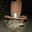 Cowboy Toad