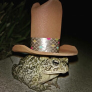 Cowboy Toad