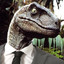 MrRaptor