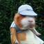 Rufus