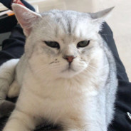 重生之我是智力wang