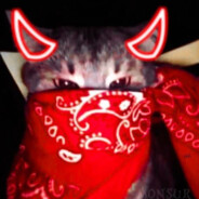 БОБРИНАЯ КОЖА