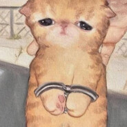 Yolki