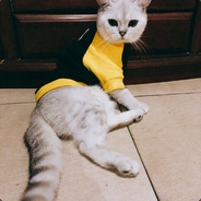 对方不是你好友