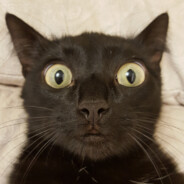 brovskiy123 - steam id 76561199801743672