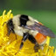 Sprzedawca
