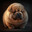 Sweet Puppy