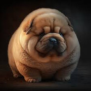 Sweet Puppy
