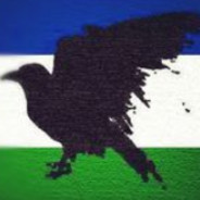 Cascadian Crow