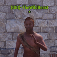 {VirKont}TheWildBeast