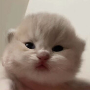 III