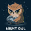 NightOwl