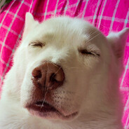 sweety.