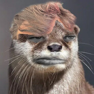 Zalupendr avatar