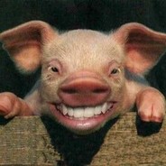 [QF]Clubberpig