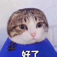 爱吃咖喱的男孩