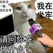 划水猫猫头