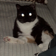 danu.somu - steam id 76561199247064677